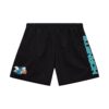 Mitchell-Ness-Team-Heritage-Woven-Charlotte-Hornets-Shorts-100x100