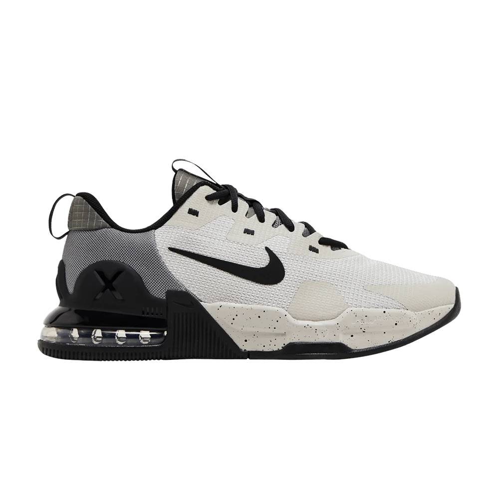 Krossovki-Nike-Air-Max-Alpha-Trainer-5-Light-Iron-Ore-Black
