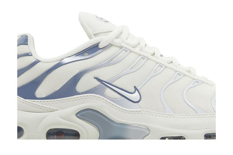 Кроссовки Nike Wmns Air Max Plus 'Ashen Slate'