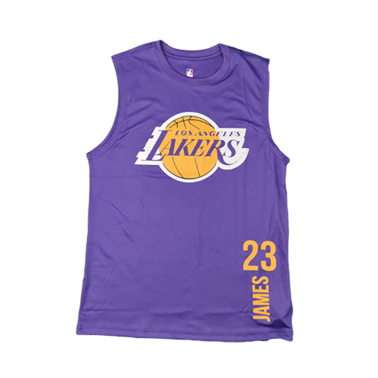 Спортивная майка 2020 Los Angeles Lakers James 23 Purple Shirt