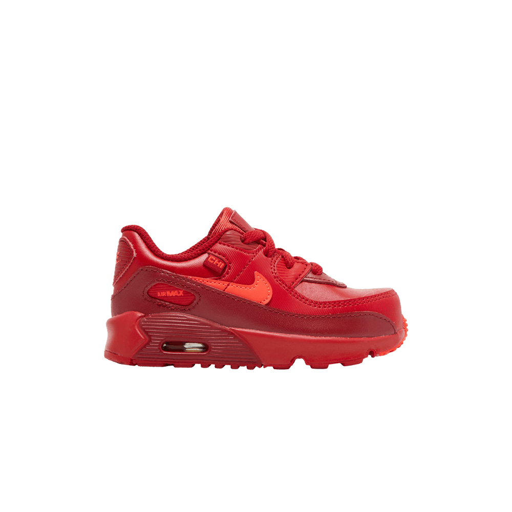 air-max-90-td-city-special-chicago-dh0153-600