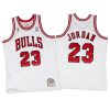 1995-96-Chicago-Bulls-Jordan-23-White-100x100