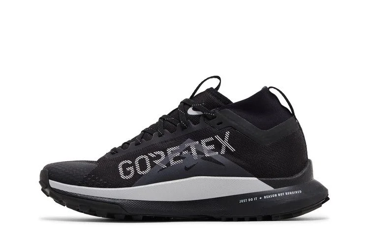 Кроссовки Nike Wmns React Pegasus Trail 4 GORE-TEX 'Black Reflect Silver'