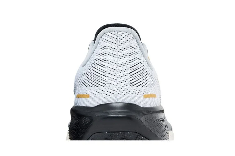 Кроссовки Nike Air Zoom Pegasus 41 Premium 'White Black Metallic Gold'