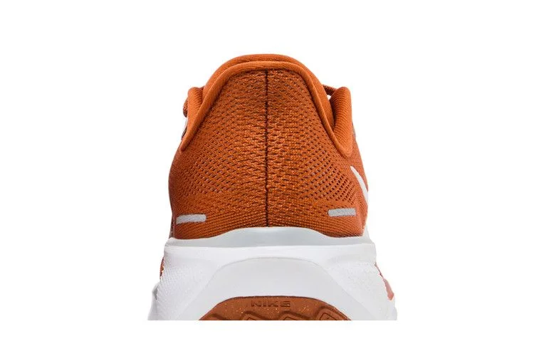 Кроссовки Nike Air Zoom Pegasus 41 'Texas 2024'