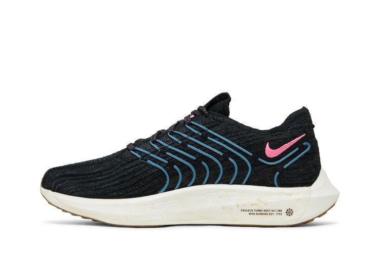 Кроссовки Nike Wmns Pegasus Turbo Next Nature 'Black Noise Aqua'