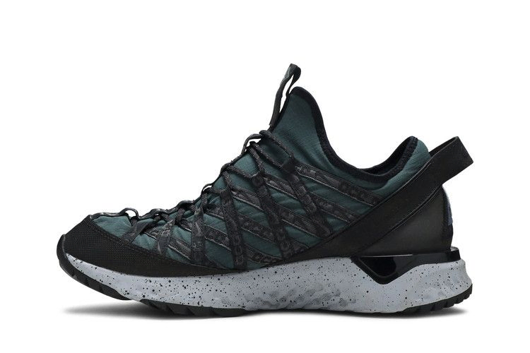 Кроссовки Nike ACG React Terra Gobe 'Deep Jungle'