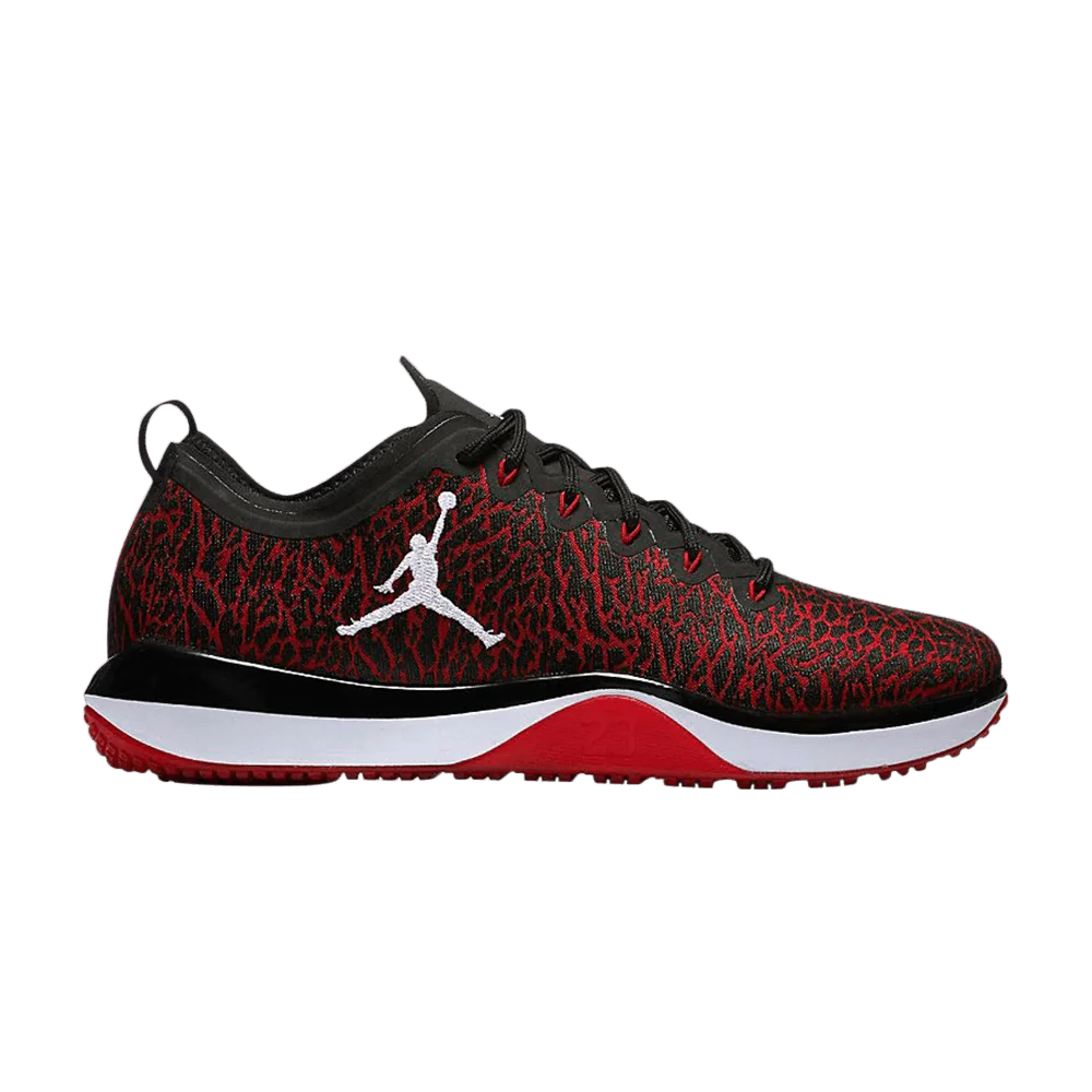 Krossovki-Air-Jordan-Trainer-1-Banned