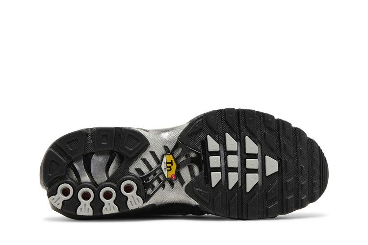 Кроссовки Nike Wmns Air Max Plus 'Black Metallic Silver'