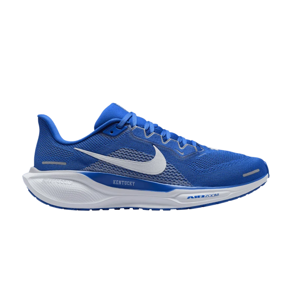 Кроссовки Nike Air Zoom Pegasus 41 'Kentucky'