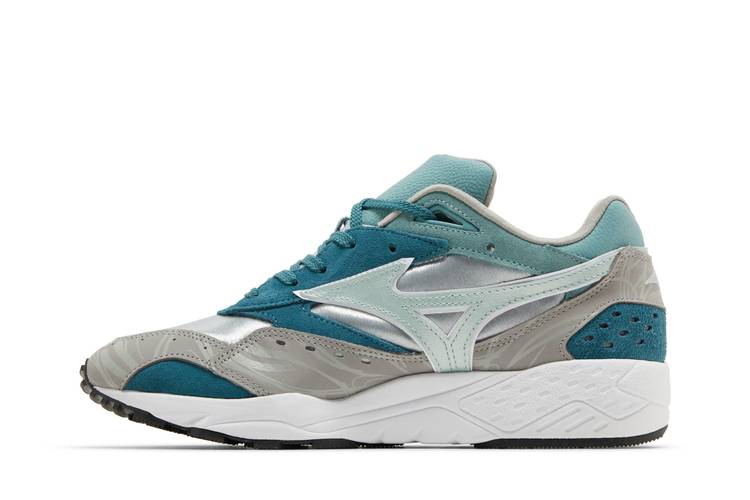 hanon-x-contender-grampus-dolphin-d1gd212001_02