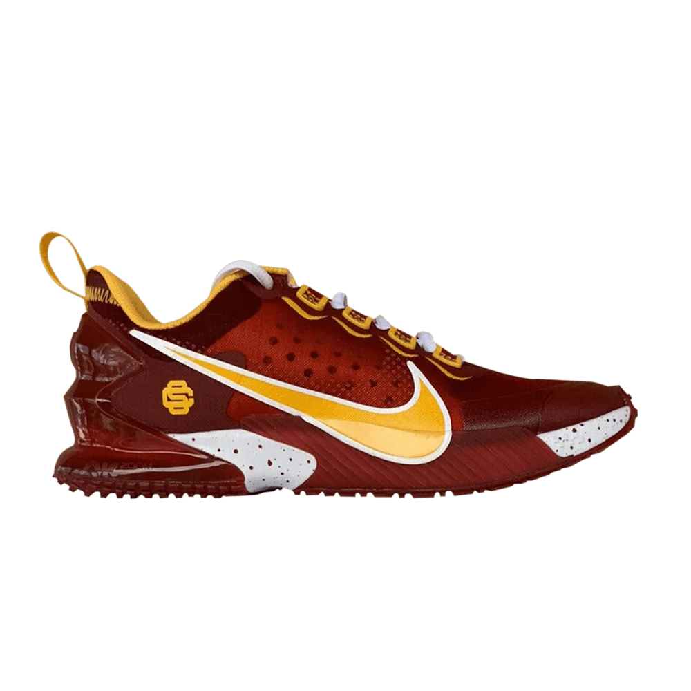 Krossovki-Nike-Zoom-Trout-Turf-LTD-USC