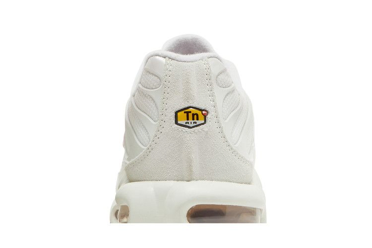 Кроссовки Nike Wmns Air Max Plus 'Vast Grey Metallic Copper'