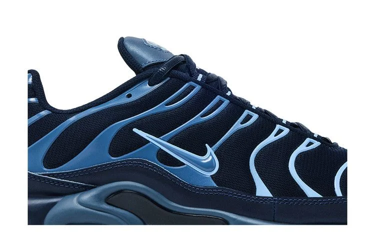 Krossovki-Nike-Air-Max-Plus-Obsidian-Aluminum-1