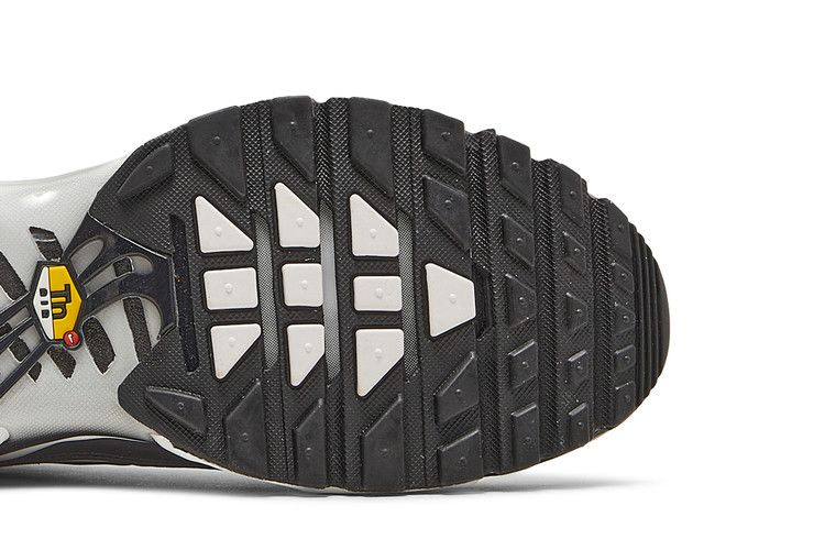 Кроссовки Nike Air Max Plus 'Shattered Ice - Black'
