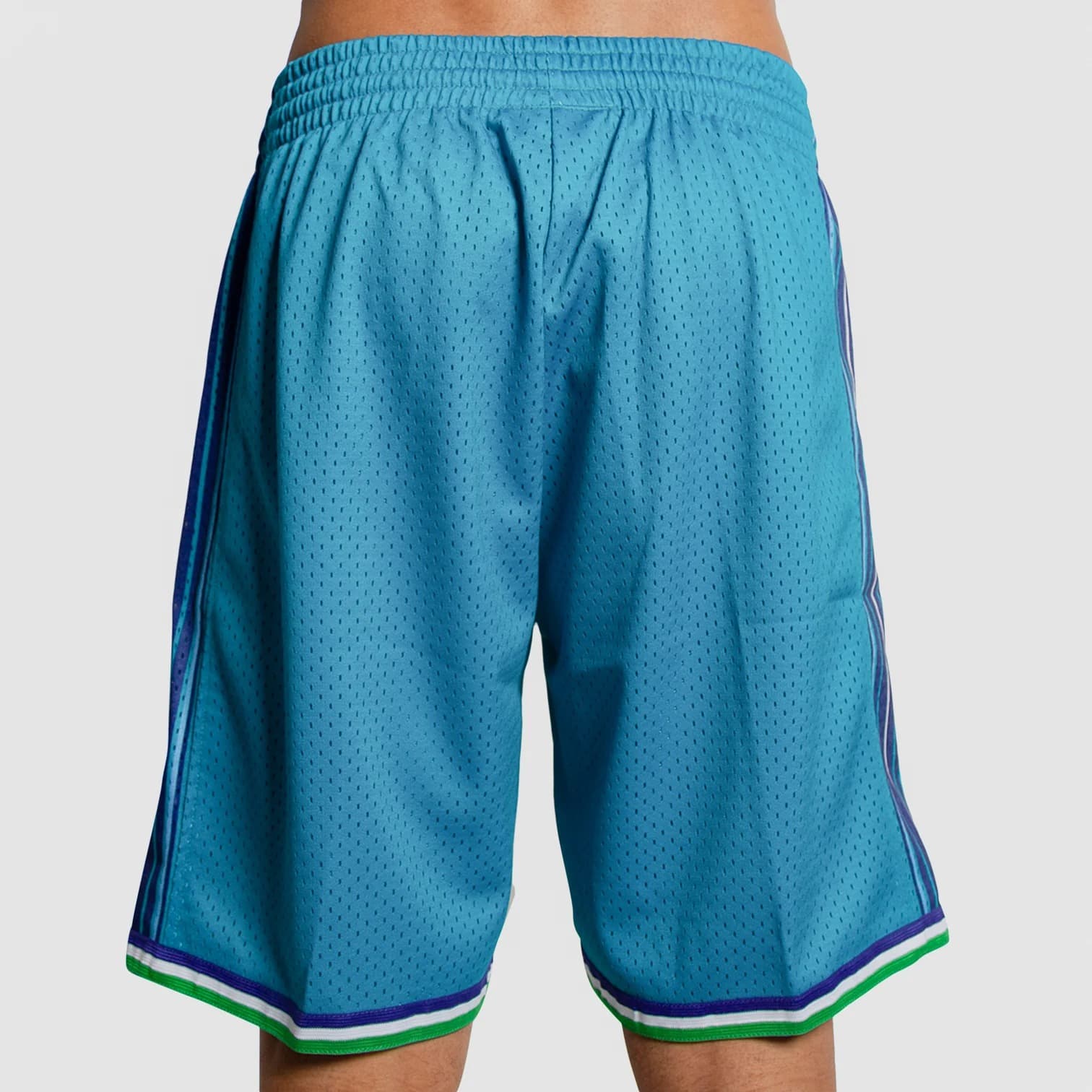 Спортивные шорты Mitchell & Ness Charlotte Hornets 1999-00 Hardwood Classics Throwback Swingman NBA Shorts