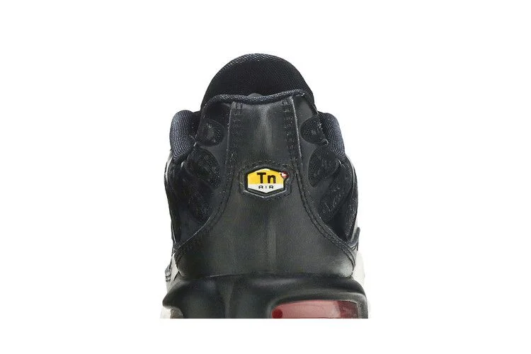 Кроссовки Nike Wmns Air Max Plus TN 'Black Red'
