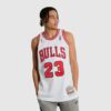 1995-1996-Chicago-Bulls-Michael-Jordan-23-Authentic-Finals-Hardwood-Classic-White-Jersey-1-100x100