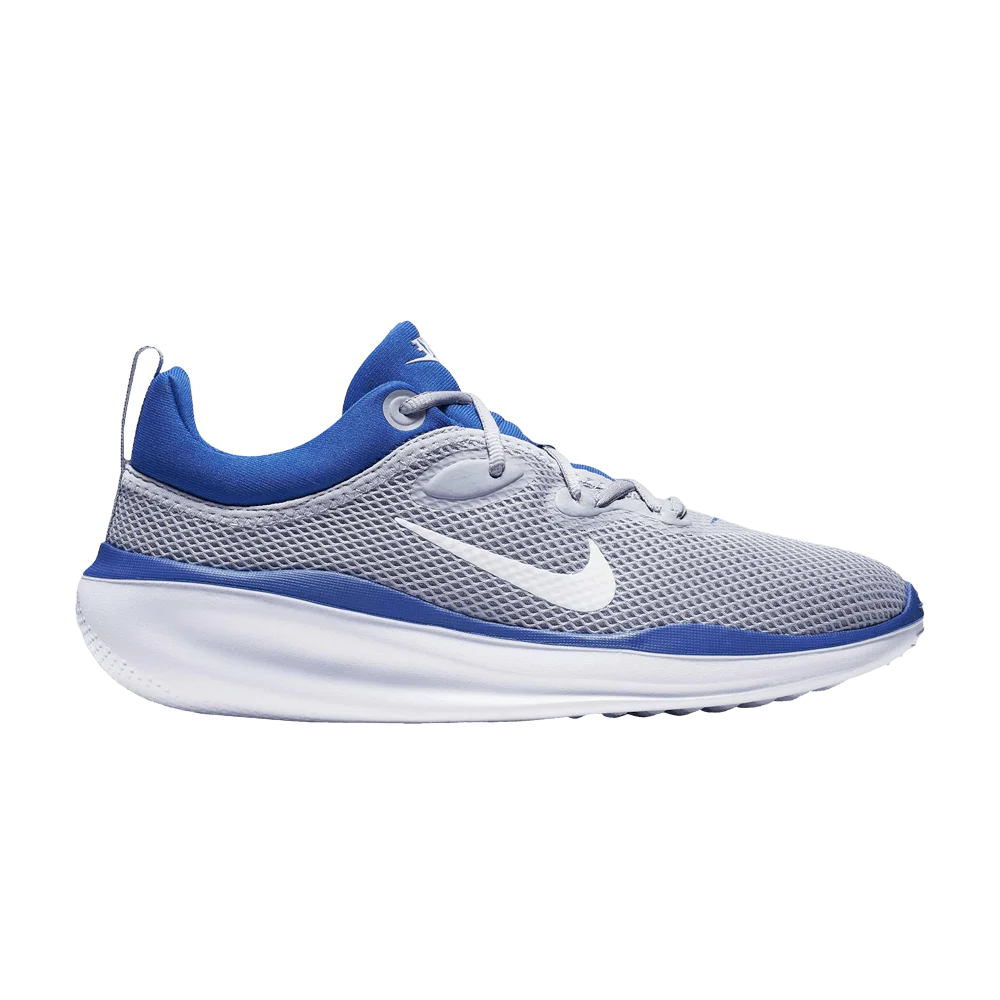 Кроссовки Nike ACMI 'Wolf Grey Game Royal'