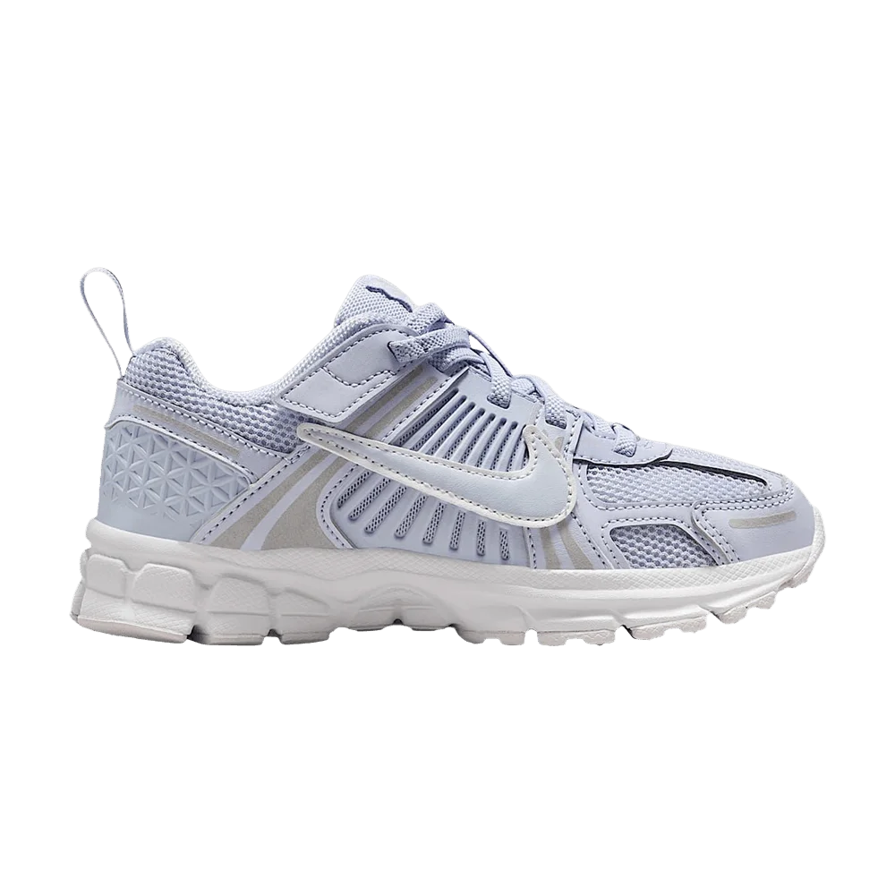 Кроссовки Nike Vomero 5 PS 'Ghost/Summit White/Platinum Tint/Ghost'