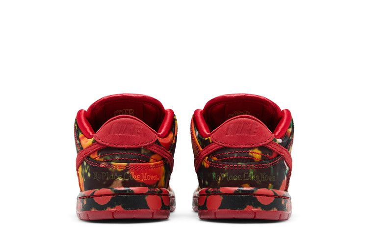 Кроссовки The Wizard of Oz x Nike Dunk Low SB TD 'Poppy Field'