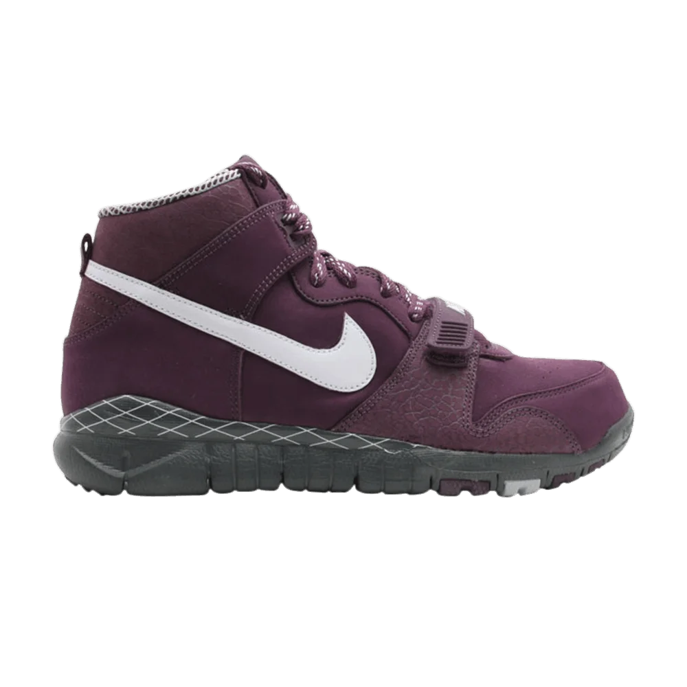 Krossovki-Nike-Trainer-Dunk-High