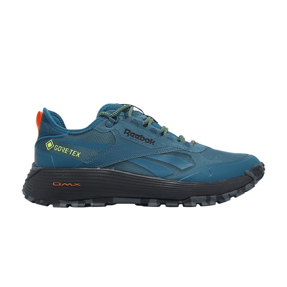 Кроссовки Reebok DMX Trail GORE-TEX 'Escape Blue'