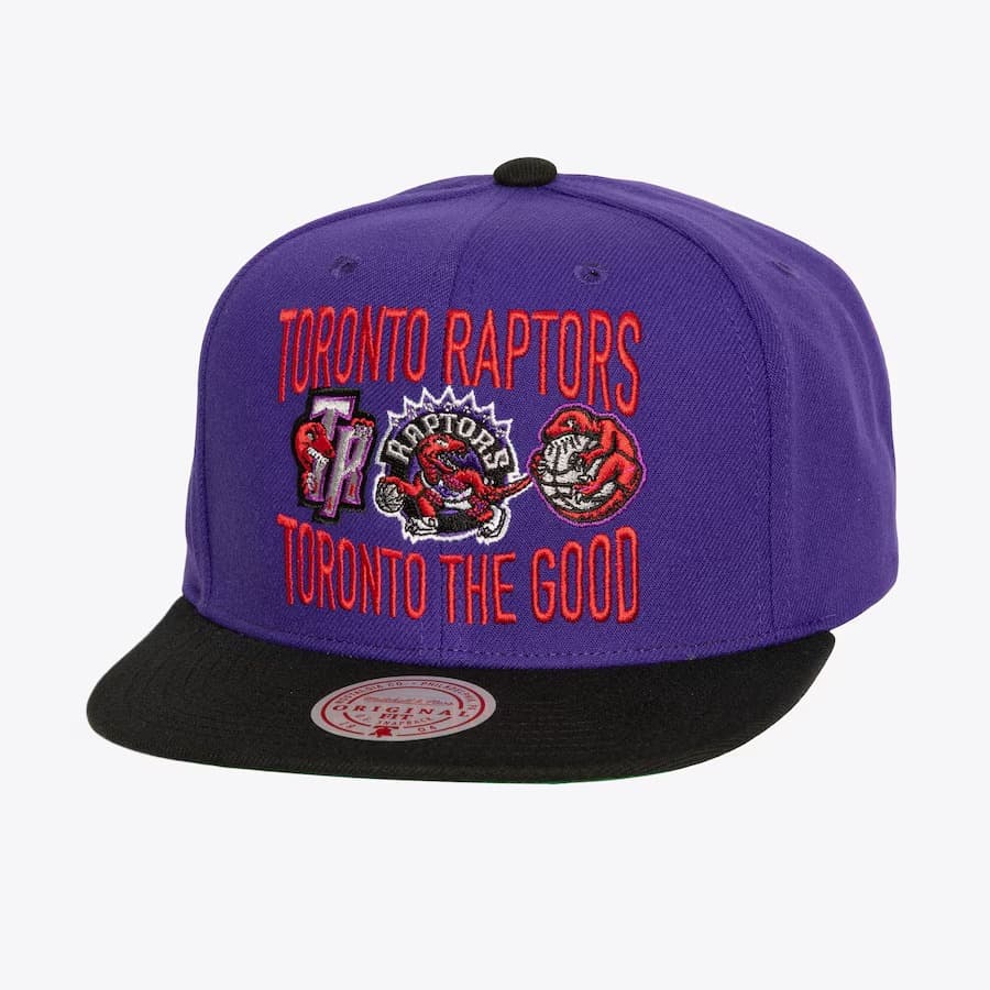 Бейсболка Mitchell & Ness Purple Toronto Raptors Hardwood Classics City Love Snapback Hat