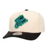 Mitchell-Ness-Overspray-Pro-Snapback-HWC-San-Antonio-Spurs-100x100