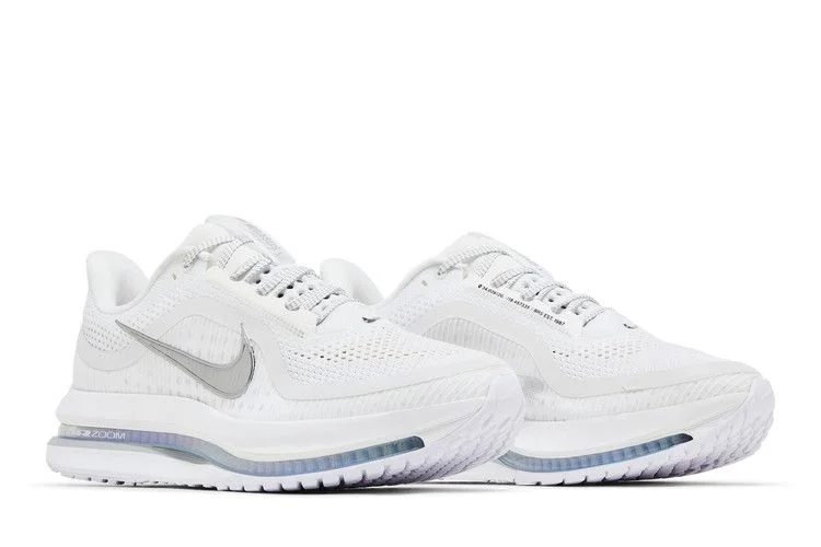 Krossovki-Nike-Wmns-Pegasus-Premium-White-Metallic-Silver-7