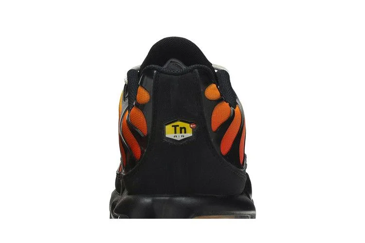 Кроссовки Nike Air Max Plus OG 'Tiger'