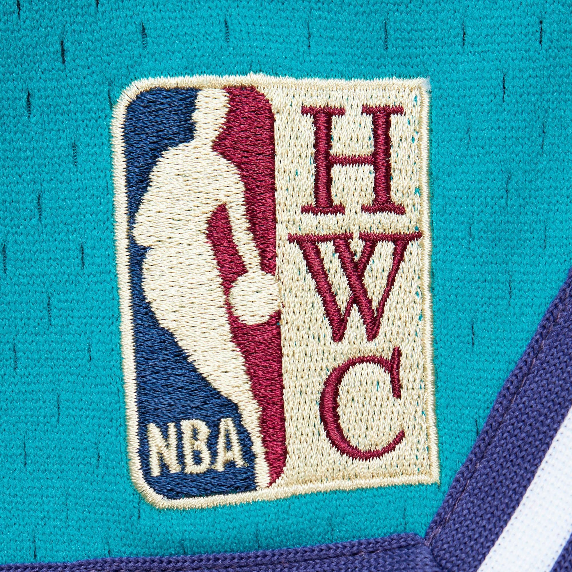 Спортивные шорты Mitchell & Ness Just Don Practice Charlotte Hornets Shorts