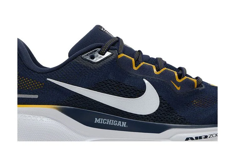 Кроссовки Nike Air Zoom Pegasus 41 'Michigan'