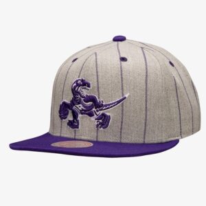 Mitchell-Ness-Gray-Toronto-Raptors-Hardwood-Classics-Pin-Pop-Snapback-Hat-300x300