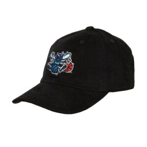 Mitchell-Ness-Cord-Dad-Strapback-HWC-Charlotte-Hornets-Hat-300x300