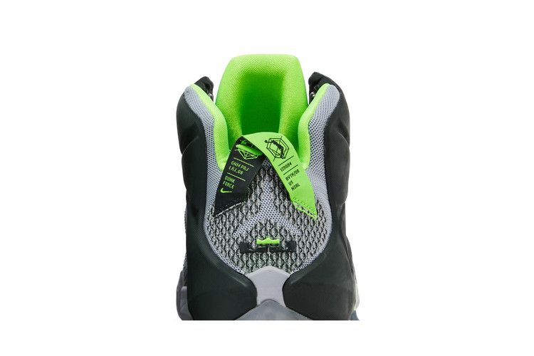 Кроссовки Nike LeBron 12 'Dunkman'