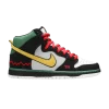 dunk-high-pro-premium-sb-mcrad-554673-001-100x100