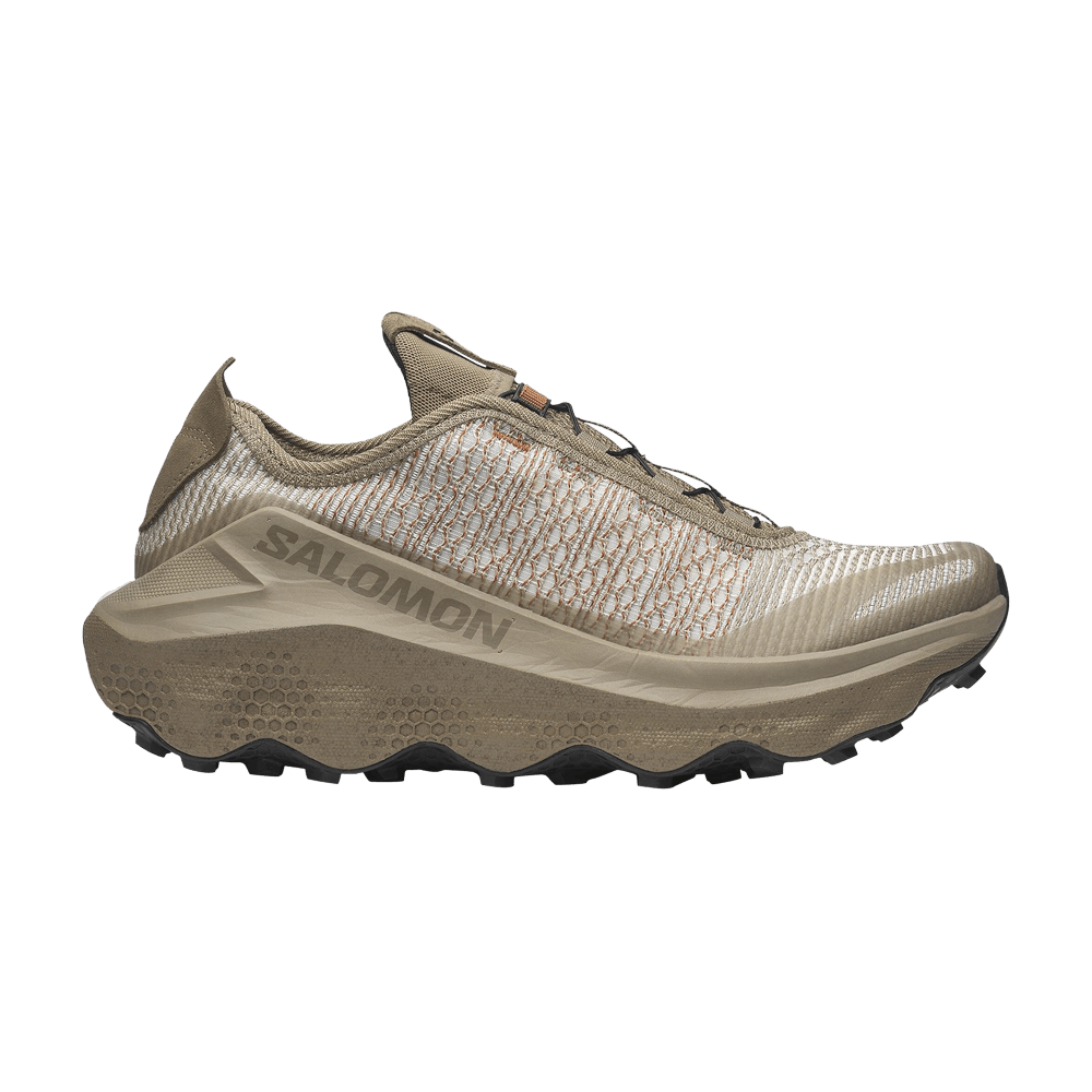 Кроссовки Salomon Orava Advanced 'Fallen Rock'
