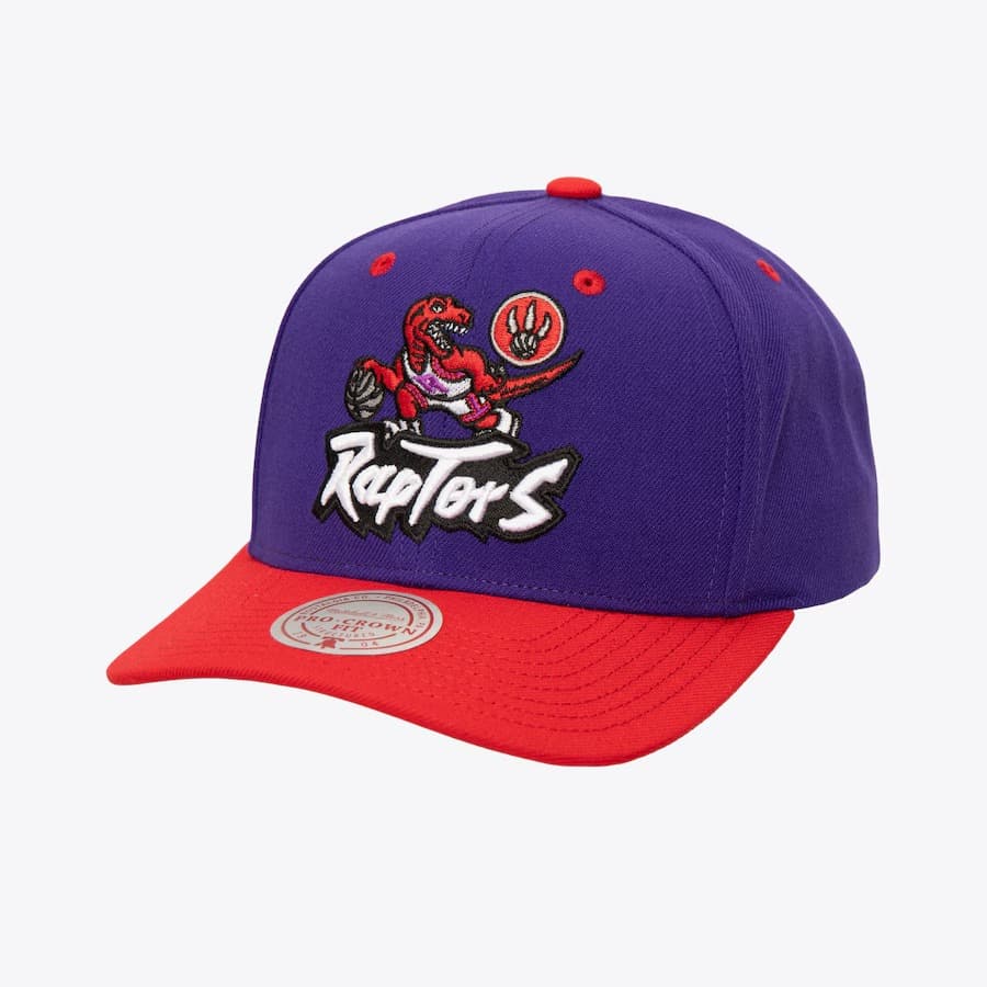 Бейсболка Mitchell & Ness Purple Toronto Raptors Hardwood Classics All In 2.0 Pro Crown Snapback Hat