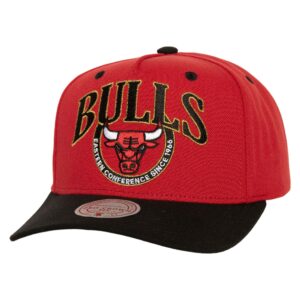 Mitchell-Ness-Crown-Jewels-Pro-Snapback-HWC-Chicago-Bulls-Hat-300x300