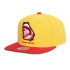 Mitchell-Ness-Team-Insider-Snapback-HWC-Atlanta-Hawks-Hat-100x100
