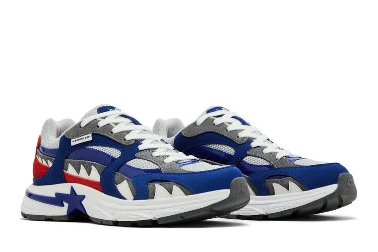 Krossovki-BAPE-Shark-Sta-M1-Country-Pack-Japan-7