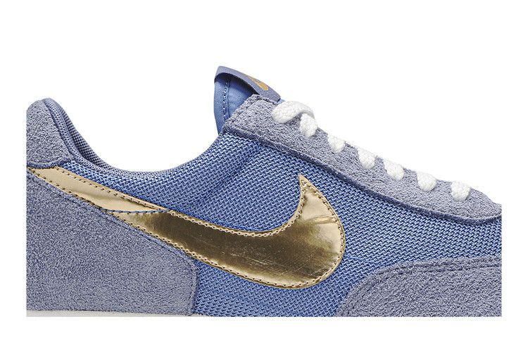 Кроссовки Nike Daybreak SP 'Blue'