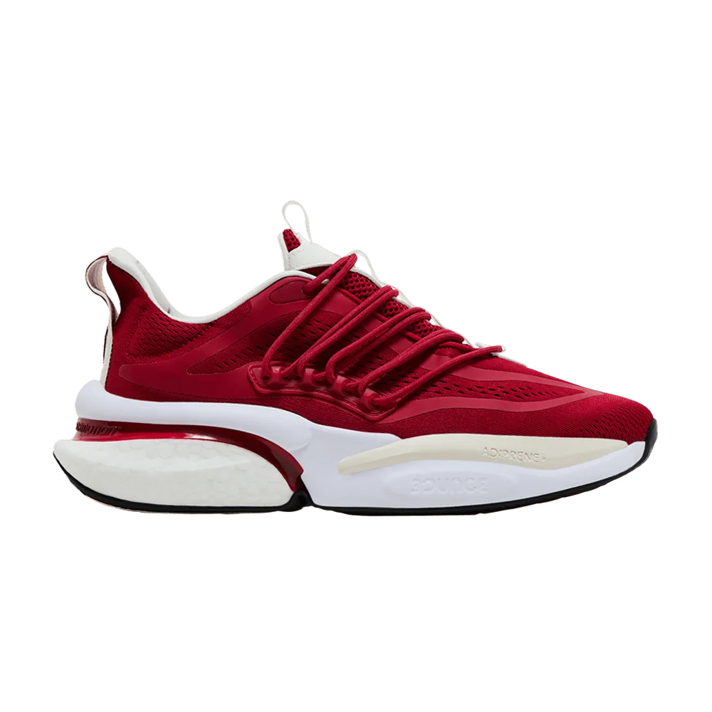 Krossovki-adidas-Alphaboost-V1-NCAA-Pack-Indiana