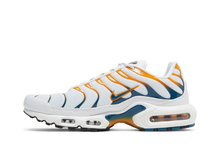 Кроссовки Nike Air Max Plus 'Hiking'