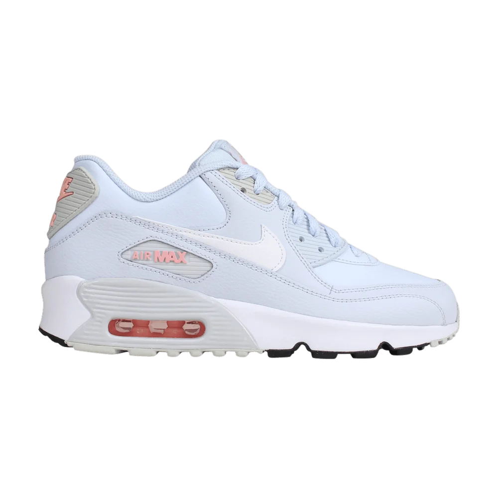 Кроссовки Nike Air Max 90 Leather GS 'Half Blue'