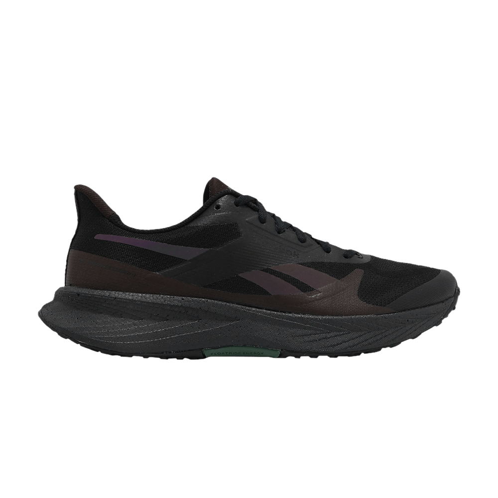 Кроссовки Reebok Floatride Energy 6 'Black Brown'