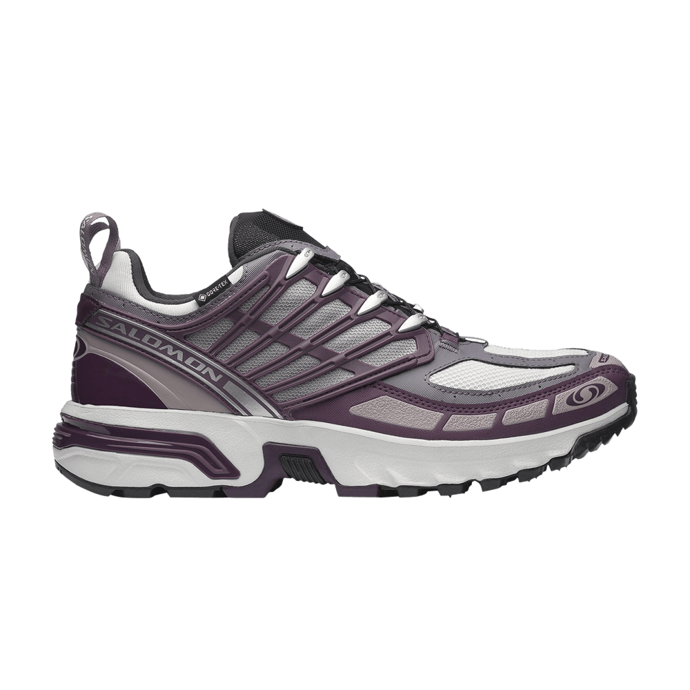 Кроссовки Salomon ACS Pro GORE-TEX 'Plum Perfect'