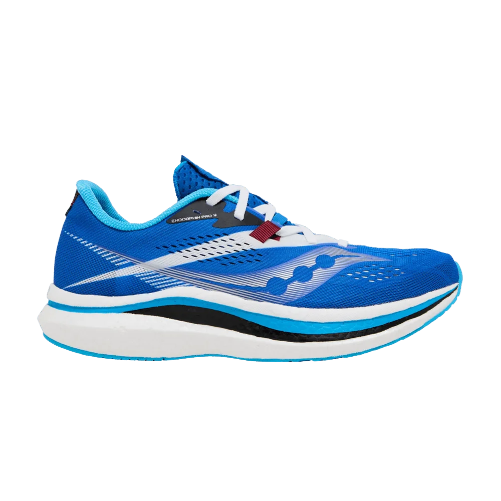 Krossovki-Saucony-Endorphin-Pro-2-Royal