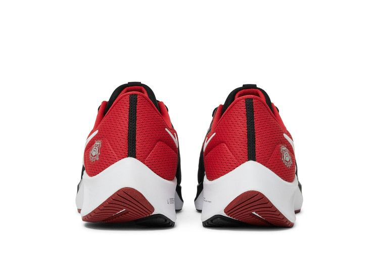 Кроссовки Nike Air Zoom Pegasus 38 'Georgia'